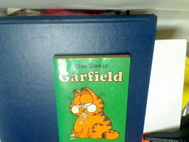 Garfield