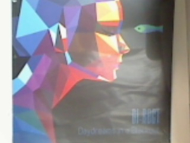 DI-RECT