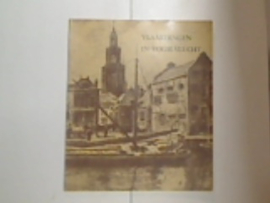 VLAARDINGEN IN VOGELVLUCHT