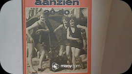 aanzien