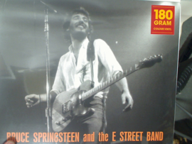 Bruce Springsteen and the E Street Band