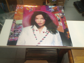 Bjork