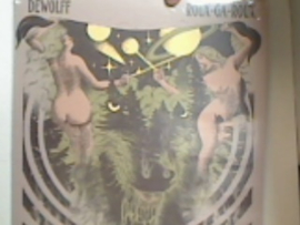 DEWOLFF