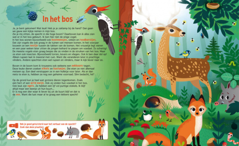 Zaklampboek - zoekboek Speuren in de dierenwereld