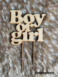 Taarttopper Boy or Girl E