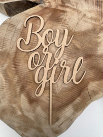 Taarttopper Boy or Girl B