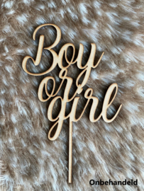 Taarttopper Boy or Girl B