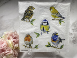Ambiente verschillende vogels servet nr H45