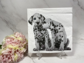 Paper en design 2 dalmatiërs servet nr 340