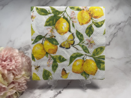 Citroenen vlinders  knutsel servet nr HM97