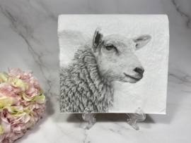 Koe/varken/schaap/haan knutsel servet nr HM247