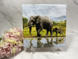 Ambiente olifant en jong servet nr H429