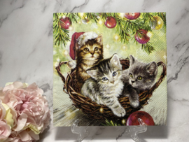 Kittens in mand knutsel servet  nr HM679
