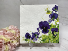 Tete a Tete Paarse viooltjes  servet nr H383