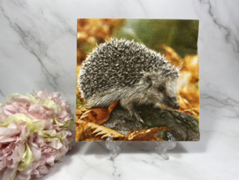 Herfst egel servet nr H241
