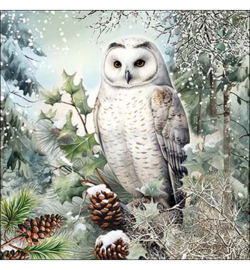 Grote winter uil knutsel  servet  nr KHM4