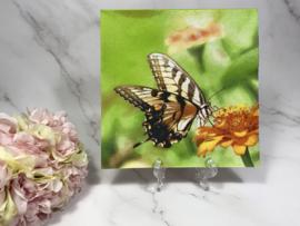 4 verschillende vlinders knutsel servet  nr HM240