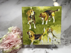 Ambiente honden beagles servet H554