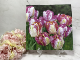Ambiente tulpen servet nr 424