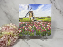 Molen en tulpen servet nr H388