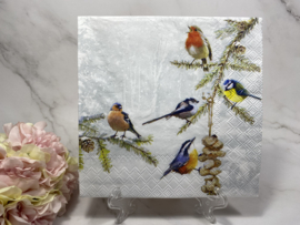 Ambiente  vogels en pinda ketting servet nr H430