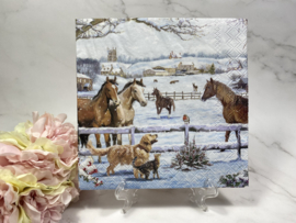 Ambiente paarden honden winter landschap nr 552