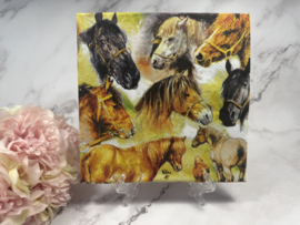 Verschillende paarden knutsel servet HRP272