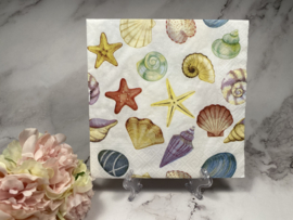 Paper design  schelpen op wit  servet nr HM588