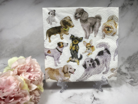 PAW verschillende honden rassen servet nr H542