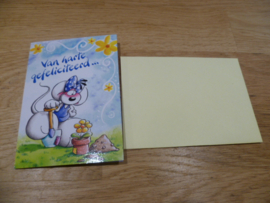 Diddlina mini kaart : van Harte gefeliciteerd en heel veel liefs ! met enveloppe