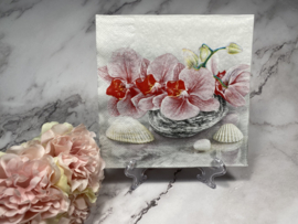 Daisy roze orchidee en schelpen servet nr M446A