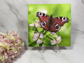 4 verschillende vlinders knutsel servet  nr HM240
