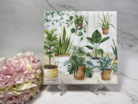 Ambiente verschillende planten servet nr M30
