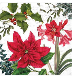 Bloemen / Planten