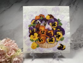 Daisy viooltjes in mand servet nr M146