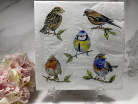 Ambiente verschillende vogels servet nr H45