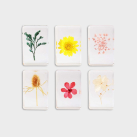 Cube bloemen s
