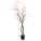 Bloesem boom | licht roze 170 cm