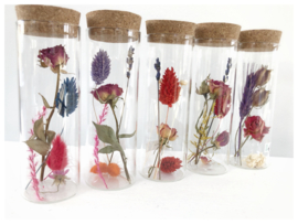 Tube S met droogbloemen 'multi'