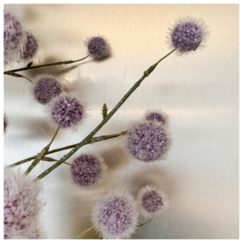 Pompom Flocky fruit 80cm | lila
