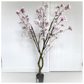 Bloesem boom | licht roze 170 cm