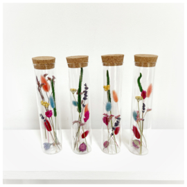 Tube M met droogbloemen 'pastel'