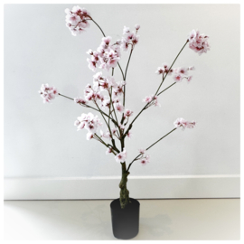 Bloesem boom | licht roze 90 cm