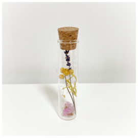 Tube XXS met droogbloemen 'naturel'