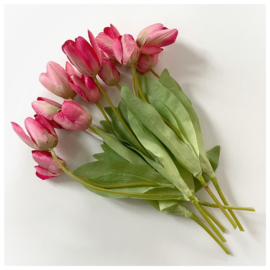 Bosje roze mini tulpen