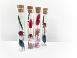 Tube XS met droogbloemen 'kleurrijk'