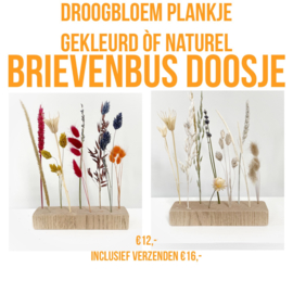 Droogbloem plankje 'kleurrijk'