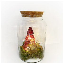 Kerst terrarium