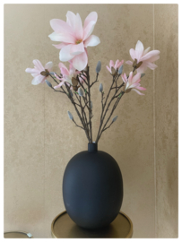 Vaas met magnolia takken