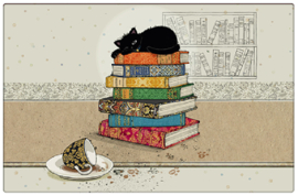 Placemat - Kat op boeken